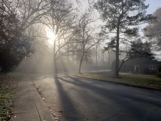 Obraz premium road in the fog
