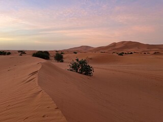 desert sand dunes
