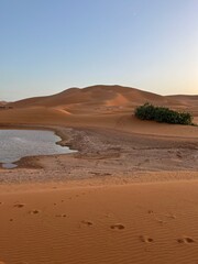 sand dunes at sunset