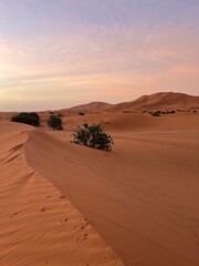 desert sand dunes