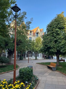 street in the park