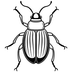 state potato beetle
