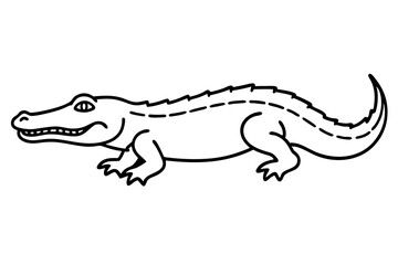illustration of a crocodile