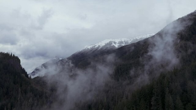 Mt Baker highway Whatcom County Washington fresh snow and fall leaves November 2024 on Mt Baker Highway near ski area