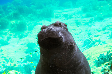 Obraz premium Generated image