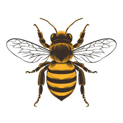 Brown icon of Bee isolated on a transparent background Minimalist flat icon, vector logo style sign clipart on a no background png