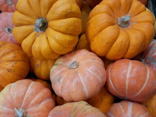 Closeup of bright orange mini pumkins. Pile of mini pumpkins.