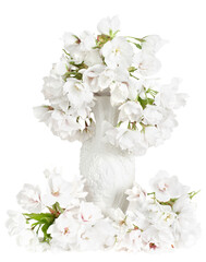 Cascade of white flowers - white cherry blossoms spilling out of a white porcelain vase