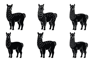 Alpaca silhouette vector illustration © mayapalash