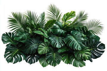 green plant isolated