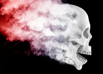Skull wrapped in the mists of time - 3D