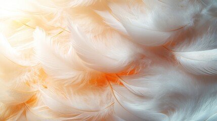 Golden and White Fluffy Feathers Background