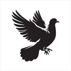 pigeon bird silhouette vector illustration, best pigeon