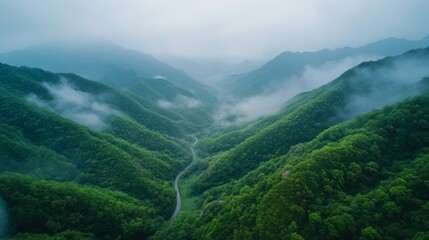 Fototapeta premium Misty valley surrounded by green hills and trees