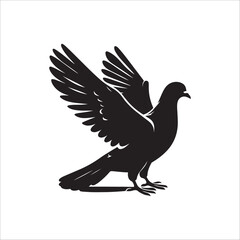 pigeon bird silhouette vector illustration, best pigeon