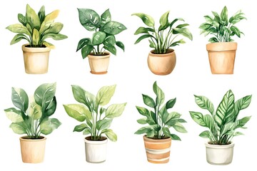Watercolor Potted Houseplant Collection. Watercolor illustrations of green indoor plants in ceramic pots with varying designs