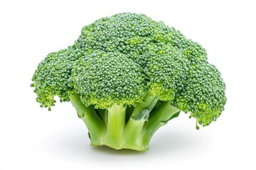 A vibrant green broccoli floret, centered and isolated on a white background
