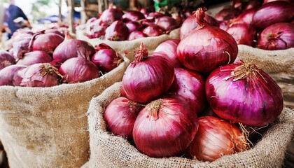 Red Onions in Burlap Sacks Ready for Sale at the Local Market