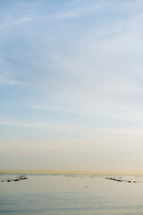 夕方の明石の海の風景