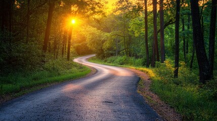 Obraz premium Serene winding road through a lush forest at sunset.