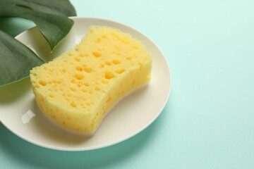 One sponge and plate on light blue background, closeup. Space for text