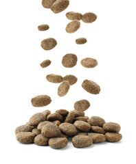 Dry pet food falling onto heap on white background