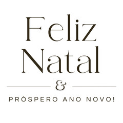 "Feliz Natal" black calligraphy portuguese text on transparent background. Feliz Natal e pr&oacute;spero ano novo texto escrito com fundo transparente