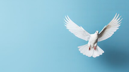 Elegant white dove in mid-flight against a serene blue backdrop. Generative AI