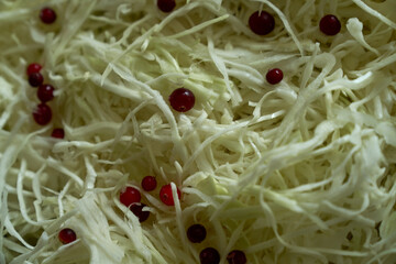 Process of harvesting sauerkraut. Autumn pickling of cabbage. ,cutting cabbage preparation