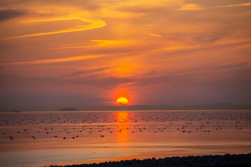 夕方の明石の海の風景