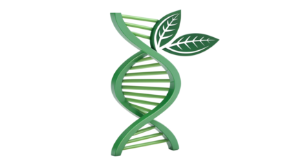 DNA Structure with Leaf Element Representing Bioengineering