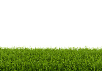 Fototapeta premium green grass png in foreground, green grass isolated on transparent background in foreground