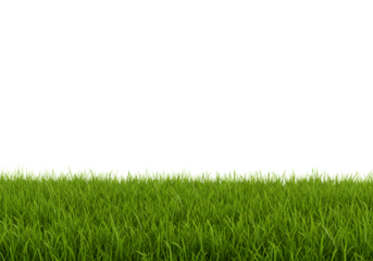 green grass png in foreground, green grass isolated on transparent background in foreground