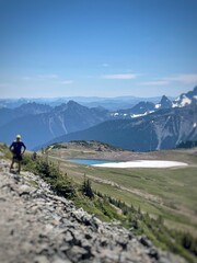 Fototapeta premium Hiker Overlooking Valley and Mountains (Mount Rainier National Park, Washington, USA)
