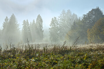 Fototapeta premium Early morning landscape with brume in Skhidnytsia location, Western Ukraine.
