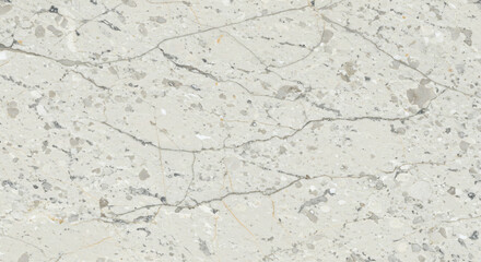 White Bianco Antico Granite Texture