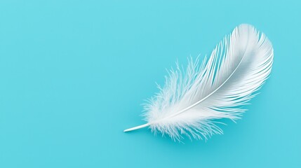 Close-up of a pristine white feather softly descending on a gradient sky blue backdrop, conveying calm and gentle motion
