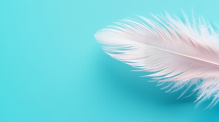 Fototapeta premium Close-up of a pristine white feather softly descending on a gradient sky blue backdrop, conveying calm and gentle motion
