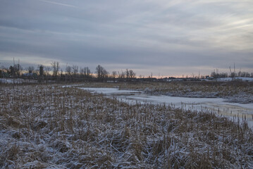frozen river in the country side