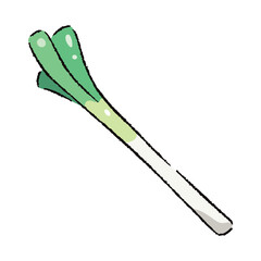 手描きの長ネギのイラスト2