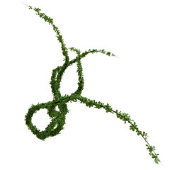 3D rendered wild green branch isolated on transparent background