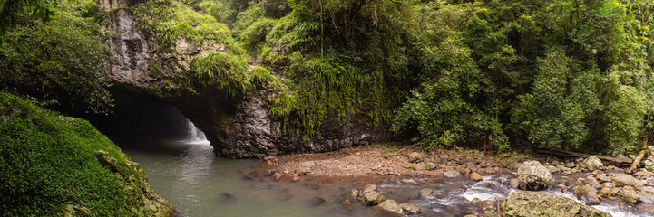 Nature views in Springbrook National Park inside Natural Bridge cave. Taken in Queensland, Australia during spring time.	