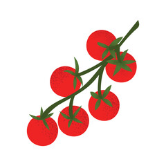 Bunch of fresh cherry tomatoes on a vine. Perfect for healthy food designs, gardening themes, or natural product concepts. Flat vector style, isolated on white
