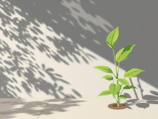Leaf shadows from various plants scattered on a smooth cement surface, plant, illustration, abstract