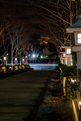 鎌倉2412　鶴岡八幡宮39　夜景
