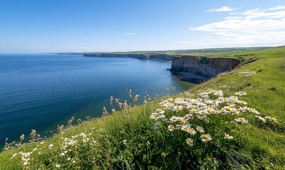 Coastal clifftop wildflowers, ocean view.