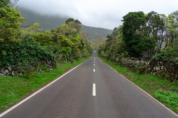 Long road on the island of flowers of the archipelago of the Azores