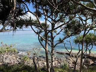Noosa, Sunshine Coast, Queensland, Australia
