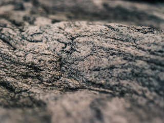 Stone surface