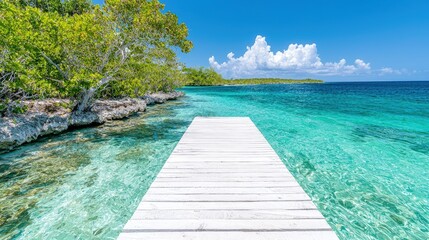 Obraz premium White wooden pier extends into clear turquoise tropical ocean waters next to a lush green coastline under a bright blue sky.